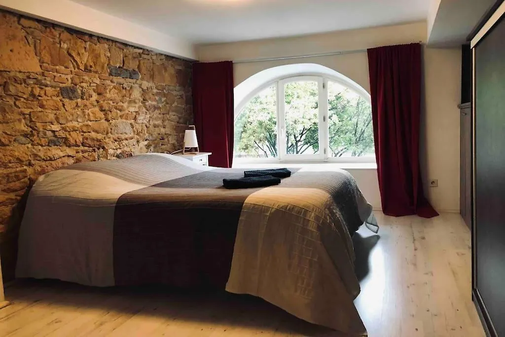 Superbe Duplex, Pentes Croix-Rousse, Lyon 4Eme Apartment